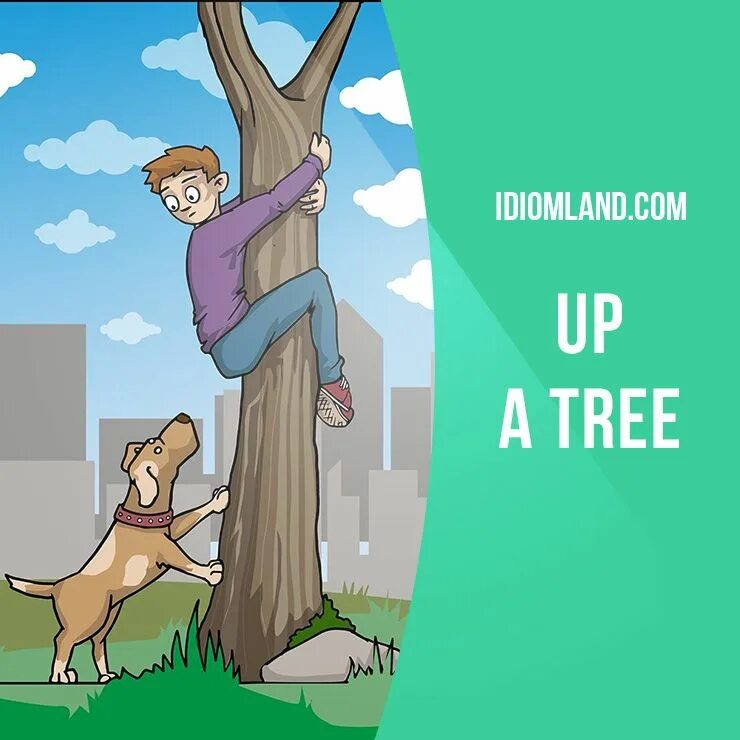 Tree mean. Bark up the wrong tree идиома. see the wood for the trees перевод идиомы. he sees a tree перевод.