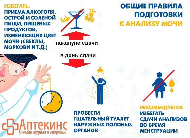 Почему мочу сдают утром. Почему мочу сдают утром