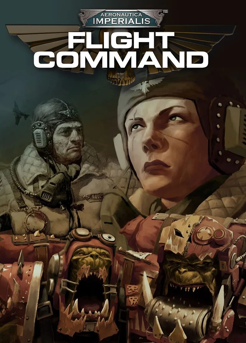 Flight commander. Aeronautica imperialis: flight command. аэронавтика империалис пилот. aeronautica imperialis art. аэронавтика империалис warhammer 40000.