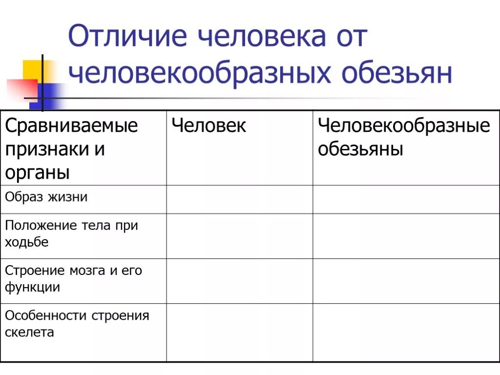 Таблица человек и человекообразные обезьяны. Заполните таблицу отличия человека от человекообразных обезьян. Отличие человека от человекообразных обезьян таблица. Отличие человека от человекообразных обезьян. Различия человека и человекообразных обезьян.