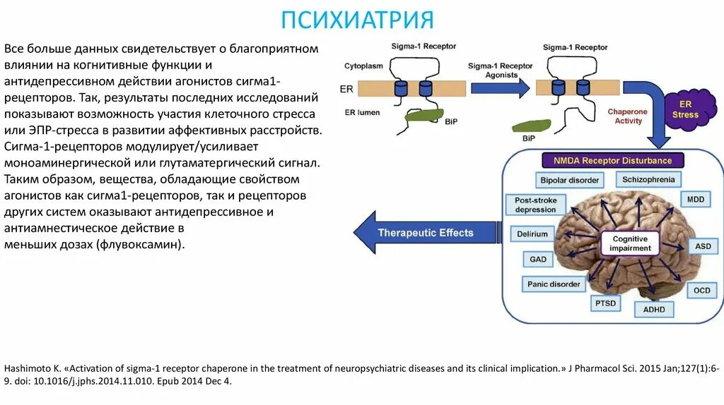 Сигма отделы