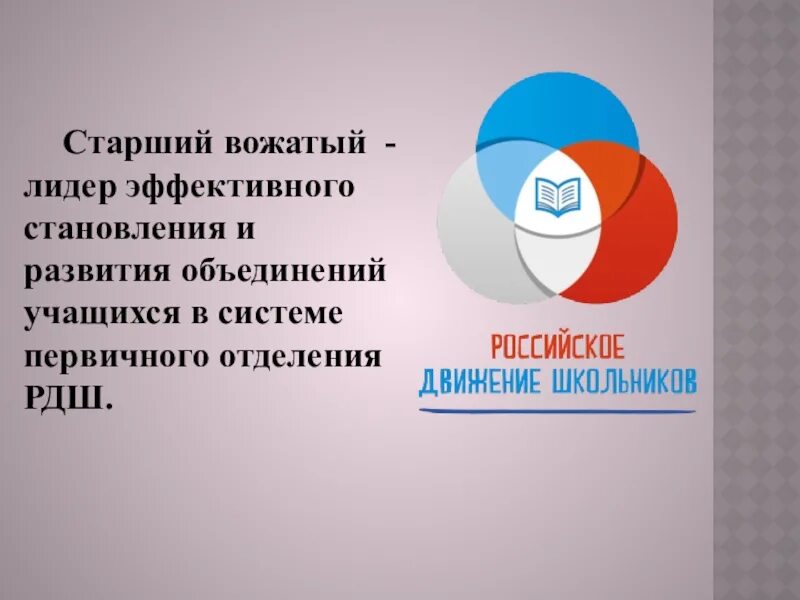 Работа старшего вожатого в школе