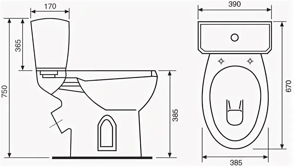 Компакт элисса