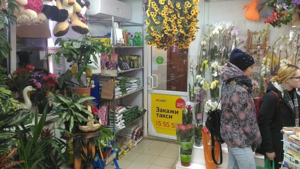 рай цветов букеты. цветочный магазин лениногорск. лениногорск цветы с доставкой. лермонтова 42 лениногорск. цветочный магазин лениногорск.