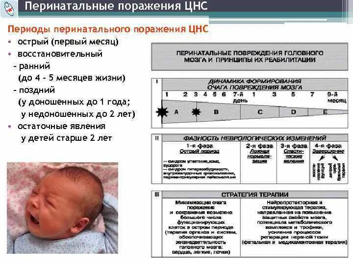 Основным признаком синдрома гипервозбудимости является. Синдромы восстановительного периода перинатального поражения ЦНС. Синдром восстановительного периода перинатального поражения. Перинатальные поражения нервной системы у новорожденных. Перинатальное поражение ЦНС У новорожденных.