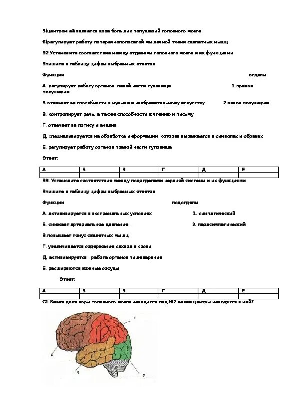 Тест по теме мозг 8 класс. Тест по биологии 8 класс нервная система человека с ответами. Контрольная работа по биологии 8 класс по теме нервная система. Тест по теме нервная система 8 класс биология. Тест нервная система человека 8 класс с ответами.