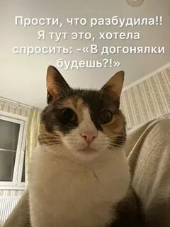 Понятно спроси