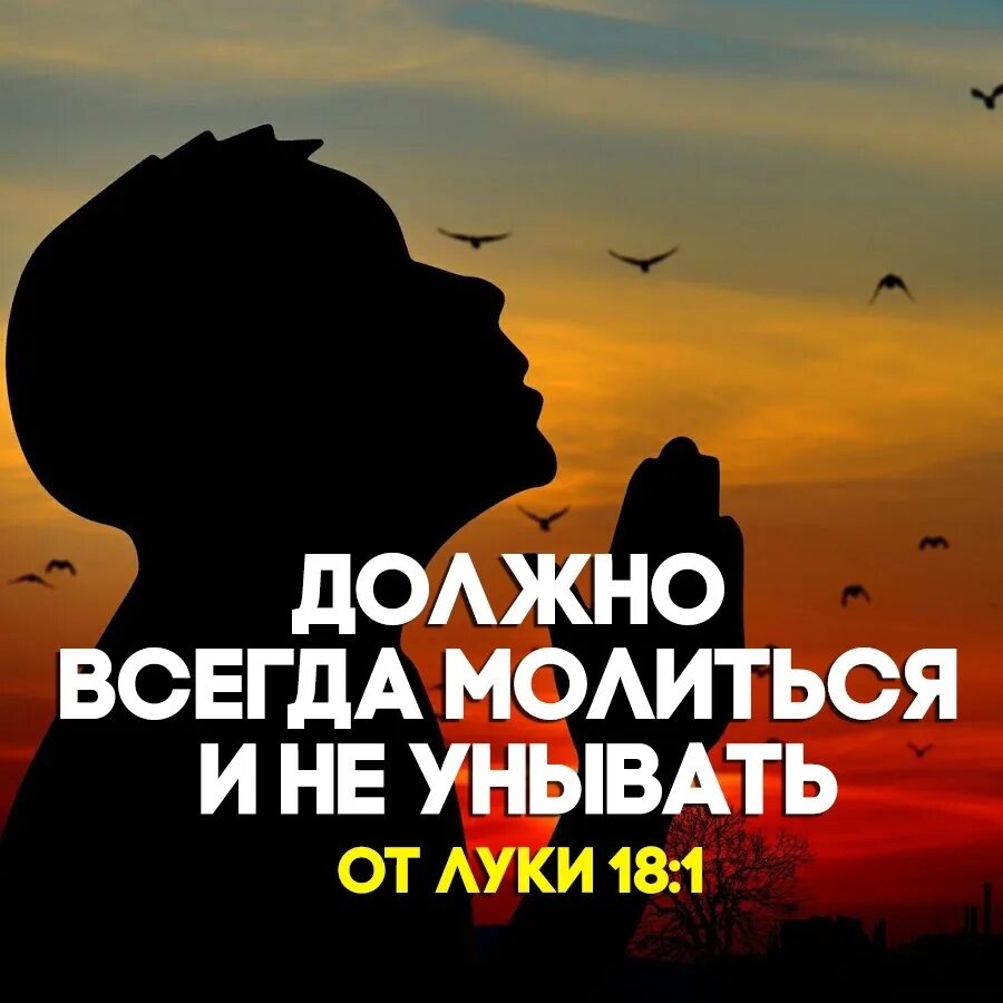 Радуюсь молюсь благодарю. Непрестанно молитесь за все благодарите. Молитесь непрестанно и за всё благодарите. Радуйтесь всегда радуйтесь библия. Всегда радуйтесь непрестанно молитесь.