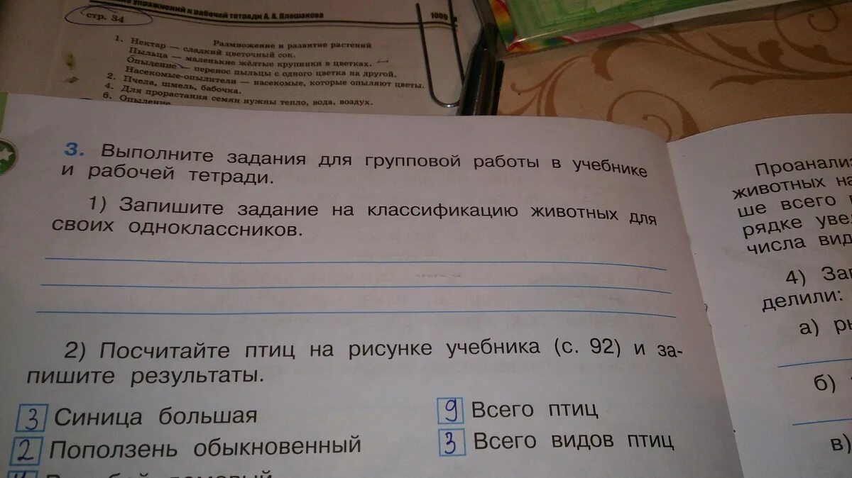 Запишите задание на классификацию животных. Задание на классификацию животных 3 класс. выполните задание для групповой работы в учебнике. запишите задания для групповой работы в. задание на классификацию для своих одноклассников.
