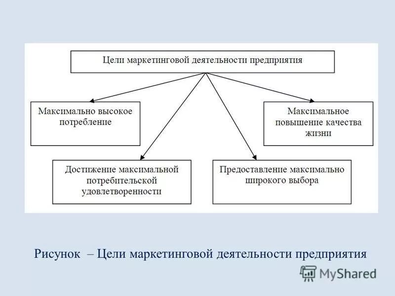 Совершенствование маркетинговой деятельности организации