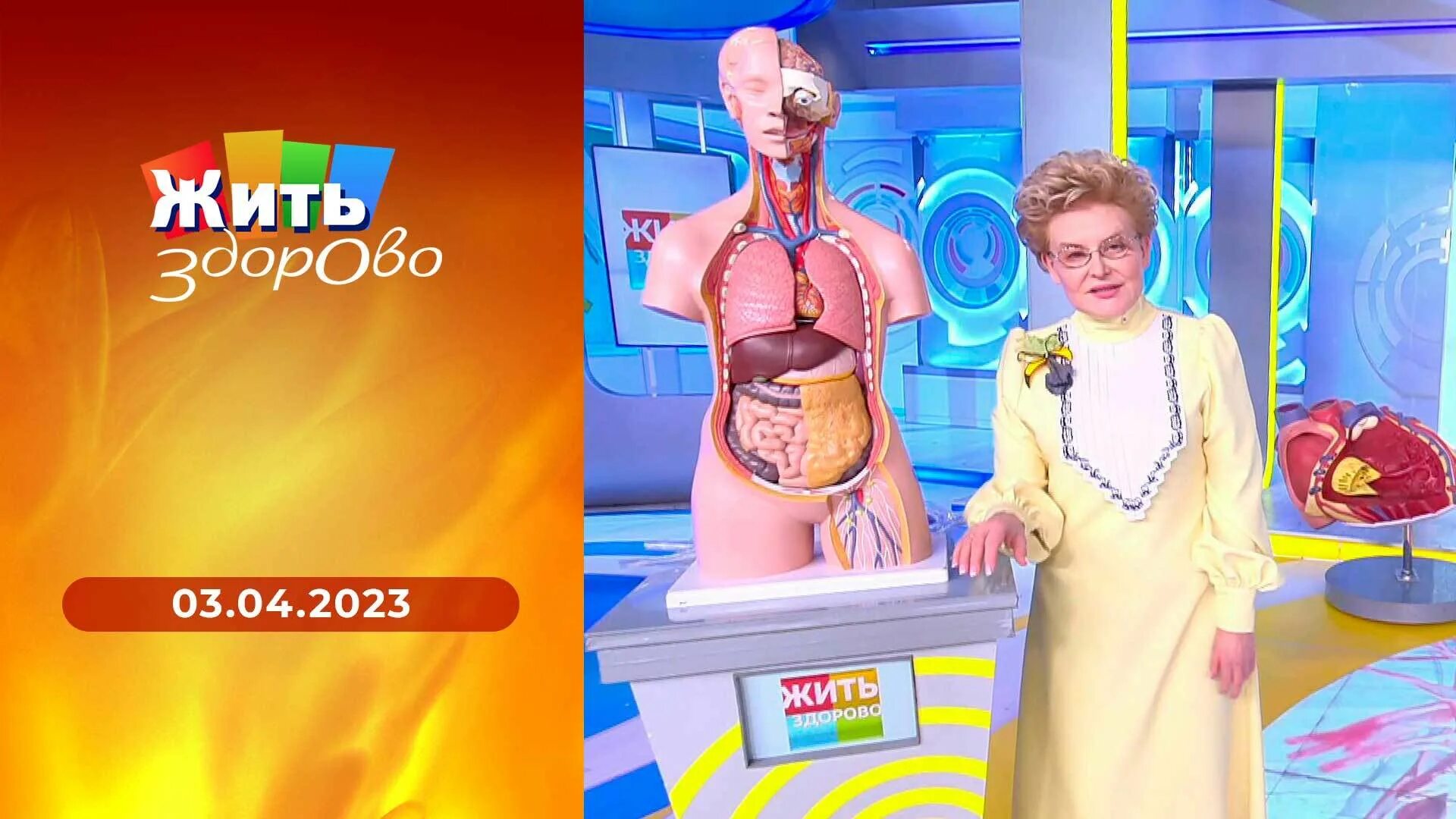 Жить здорово сегодняшний выпуск смотреть. 06. Программа жить здорово 2023. Малышева жить здорово. Елена малышева жить здорово.