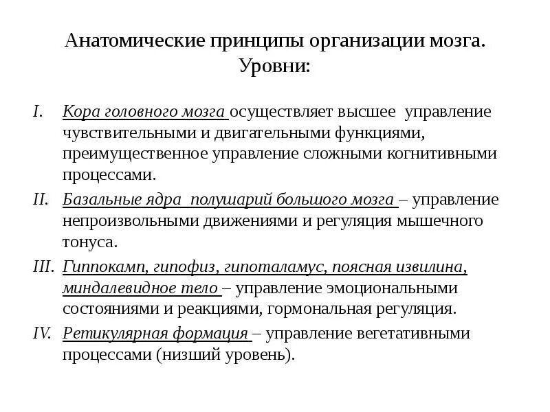 Уровни организации психического. Головной мозг уровень организации. Уровни организации мозга. Анатомические принципы организации мозга.. Уровни головного моста.