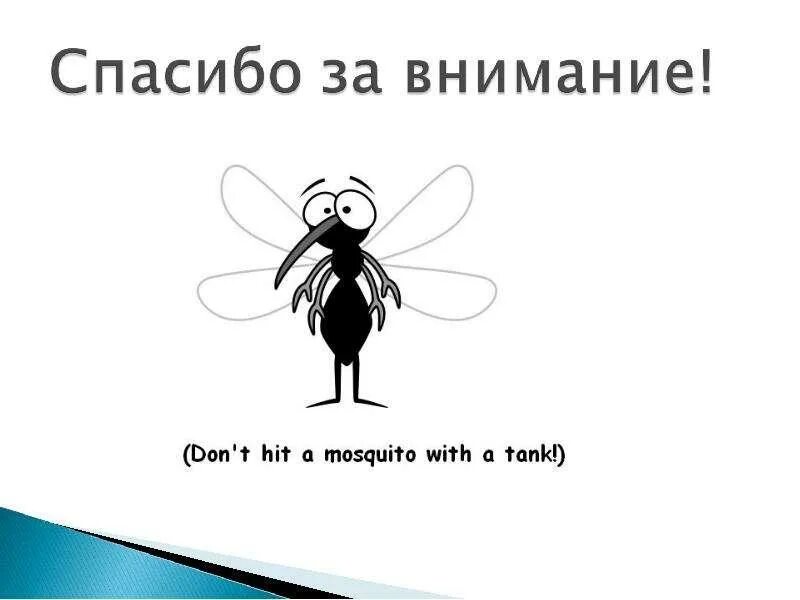 Английские пословицы и поговорки. Спасибо за внимание комар. Спасибо за внимание малярия. Спасибо за внимание насекомые. Внимание мухи