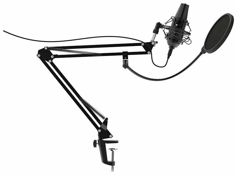 Микрофон ritmix rdm-169, черный. Микрофон ritmix rdm 169. Микрофон rdm 169 usb black. Микрофон ritmix rdm-169, черный. Микрофон ritmix rdm 169.