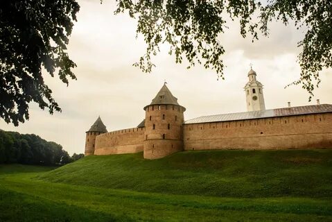 Животные великого новгорода