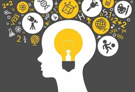 Объясните что такое интеллект