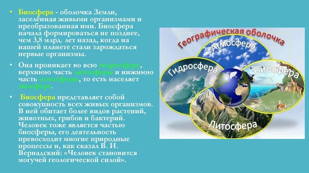 Оболочка, населенная живыми организмами и преобразованная ими. УМК ноосферы. Если на земле сформируется Ноосфера. Как расселились живые организмы по планете. Больше всего заселена живыми организмами