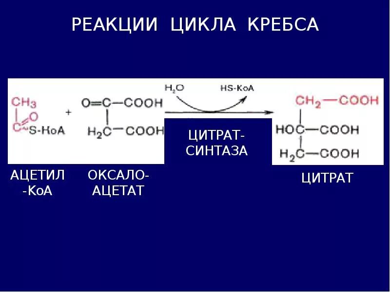 Реакции образования циклов. 4 Реакция цикла Кребса. Декарбоксилирование ПВК цикл. Ключевые реакции цикла лимонной кислоты. Цикл Кребса пировиноградная кислота.