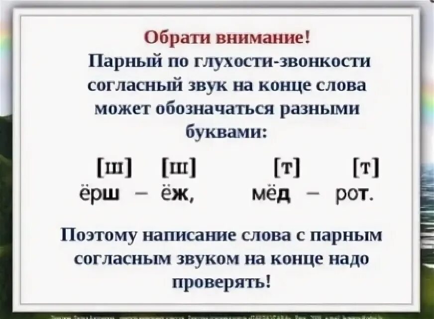 Глухие звонкие в середине слова. Правило по глухости звонкости согласных звуков 2 класс. Парные согласные 2 класс правило проверки. Парные по глухости-звонкости согласные звуки на конце слова. Парный по глухости звонкости согласный звук на конце слова.