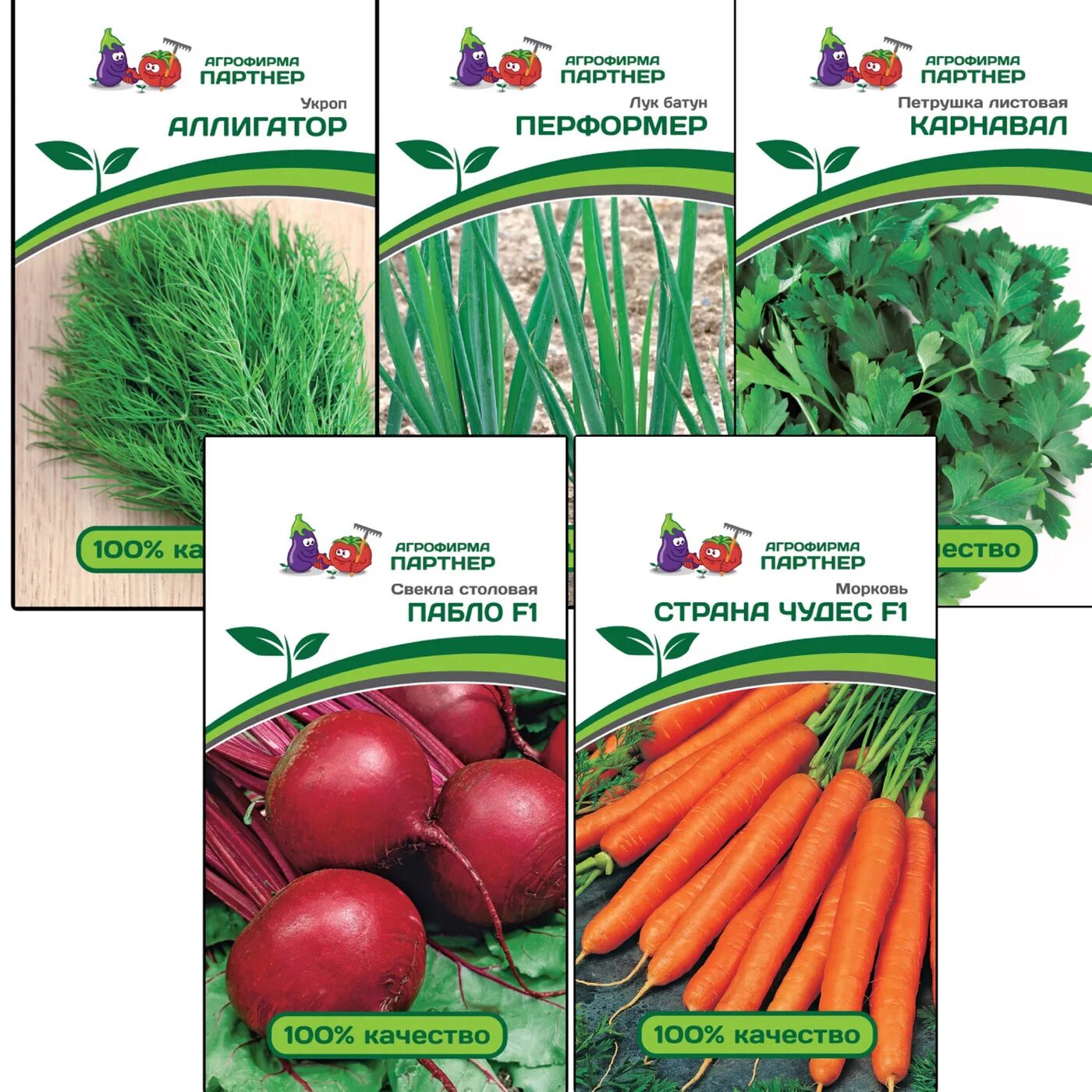 Семена агрофирмы. Агрофирма партнер семена. Агрофирма партнер. Агрофирма каталог. Агрофирма поиск магазин.