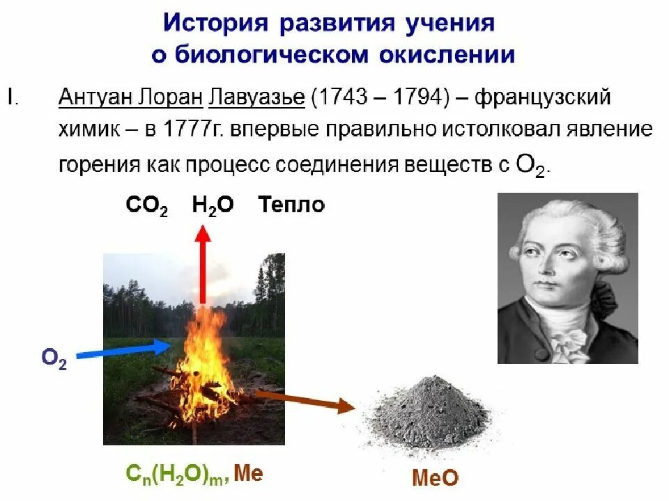 Биологическое горение. История развития учения о биологическом окислении. Биологическое окисление Лавуазье. Развитие представления о биологическом окислении. Биологическое окисление Бах.