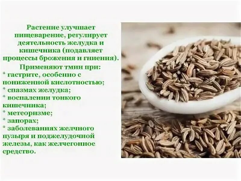 Чёрный тмин польза семена. Масло чёрный тмин лечебные. Польза семян черного тмина. Чем полезен черный тмин. Семена черного тмина кладовая здоровья.