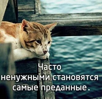 Как не быть бесполезным