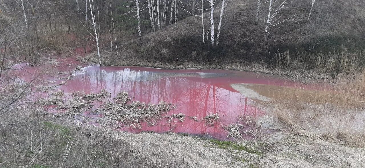 Розовая река. Рязань река. Красная река Рязань. Розовый ручей. Водоем который окрашивается в нежно розовый цвет