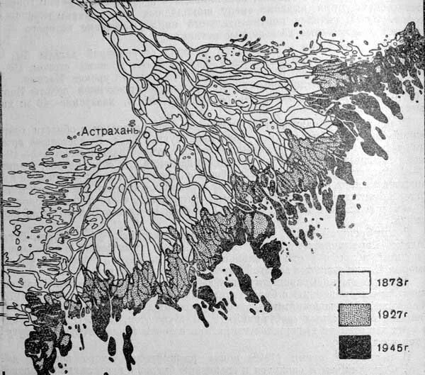 схема районирования дельты волги. карта дельты реки волги. дельта р. схема дельты реки волга. дельта волги на карте.