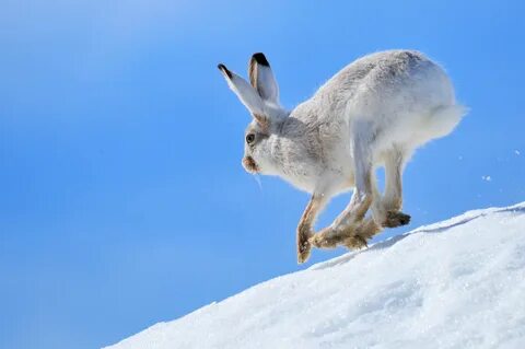 Being tailed