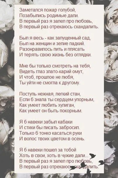 Стихи с автором. Песни про забытую любовь. Песни про забытую любовь. Шевчук слова из песен. Заметался пожар голубой стих.