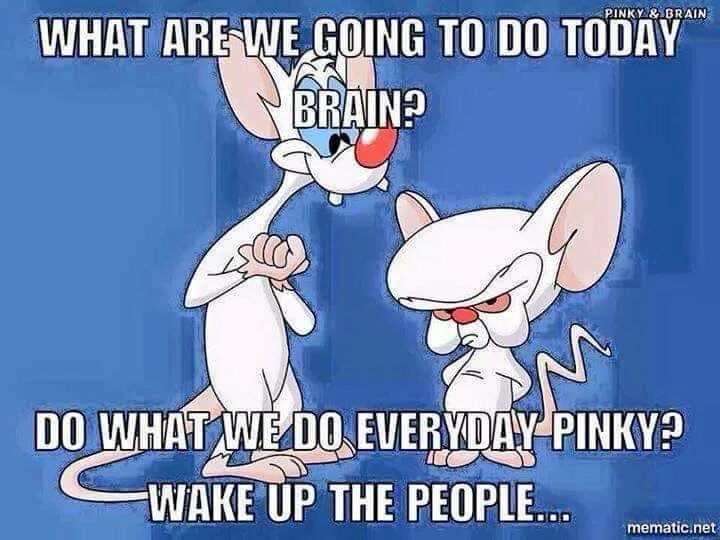 Warm up для урока английского языка. What next. What are you so afraid of. Обложка со словом what. Шейла брофловски и лиэн картман.