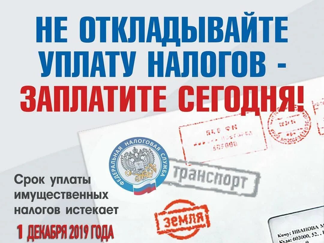 1 nalog. Имущественные налоги. Срок уплаты налога. Уплата имущественных налогов. Уведомление имущественных налогов.