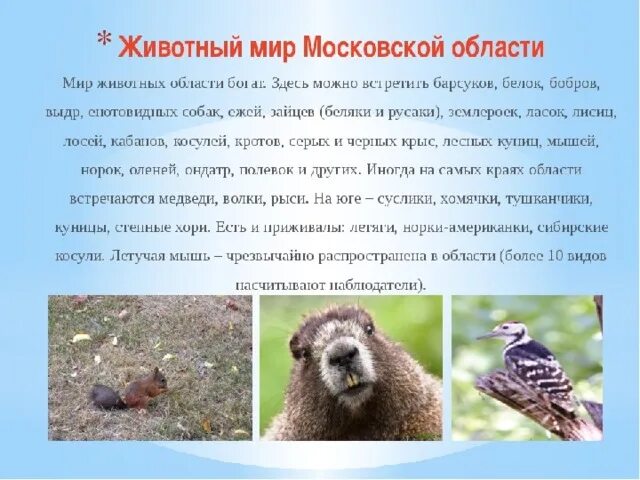 Проект разнообразие природы московской области Московская область проект по географии