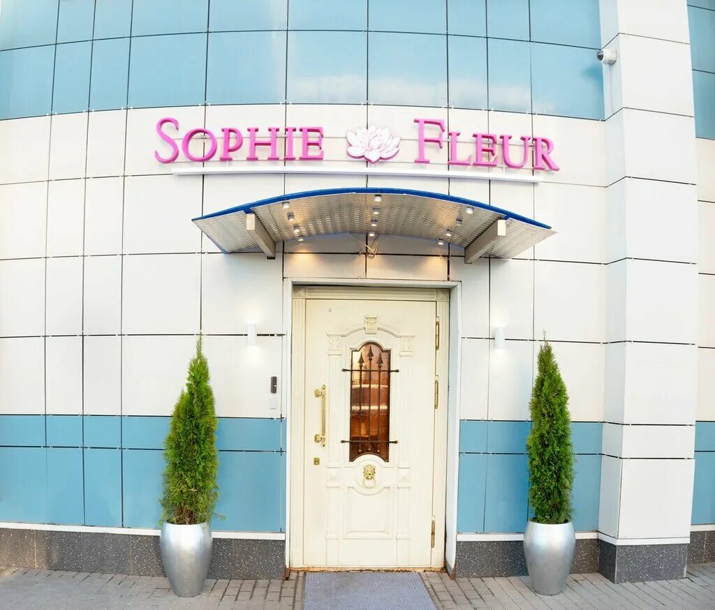 гурьянов ментопластика. рыбакин артур владимирович блефаропластика. баранова наталья степановна. эндоскопическая периорбитопластика. пластическая хирургия коллаж.