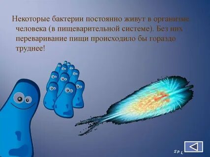 Бактерии 10 класс