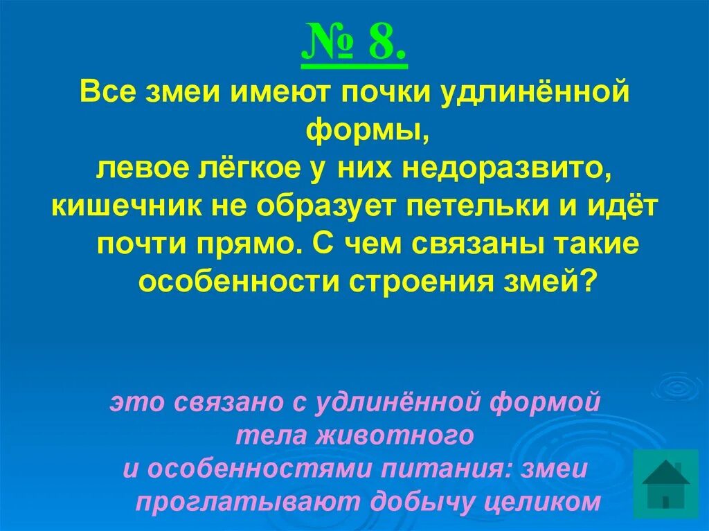 Имеет удлиненную форму в. Все змеи имеют почки удлинённой формы левое легкое. Строение змей почему у них по одной почке.