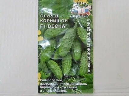 Сорта огурцов корнишонов для теплиц