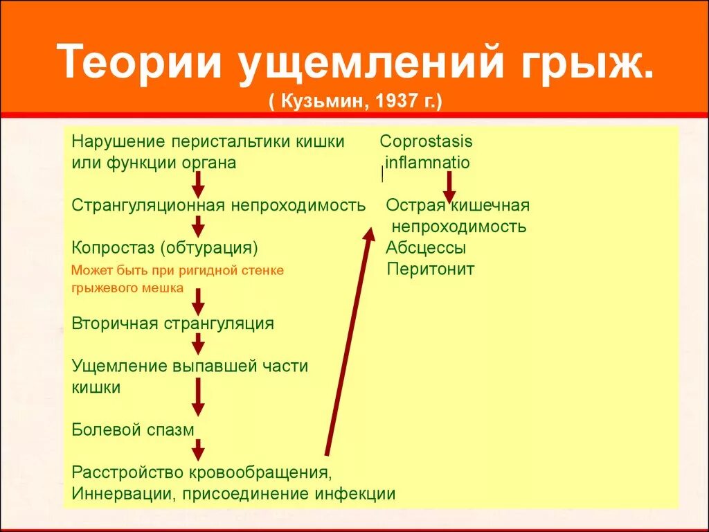 Признаки ущемленной грыжи. Патогенез ущемления грыжи. Клинические проявления ущемленной грыжи. Патогенез ущемленной грыжи живота. Клинический симптом ущемленной грыжи.