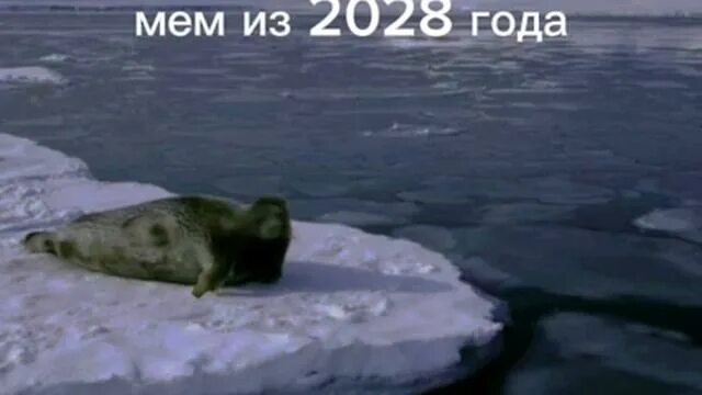 Этот мем из самого начала 2024 года. Вы пока не поймёте. - YouTube