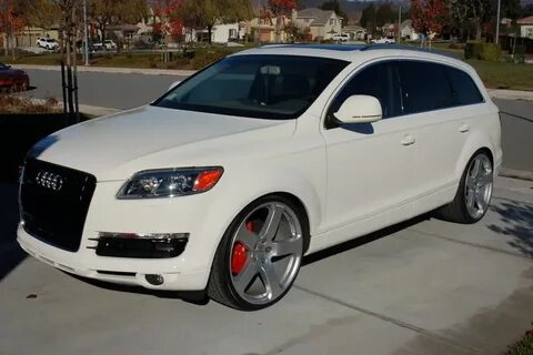 Q white