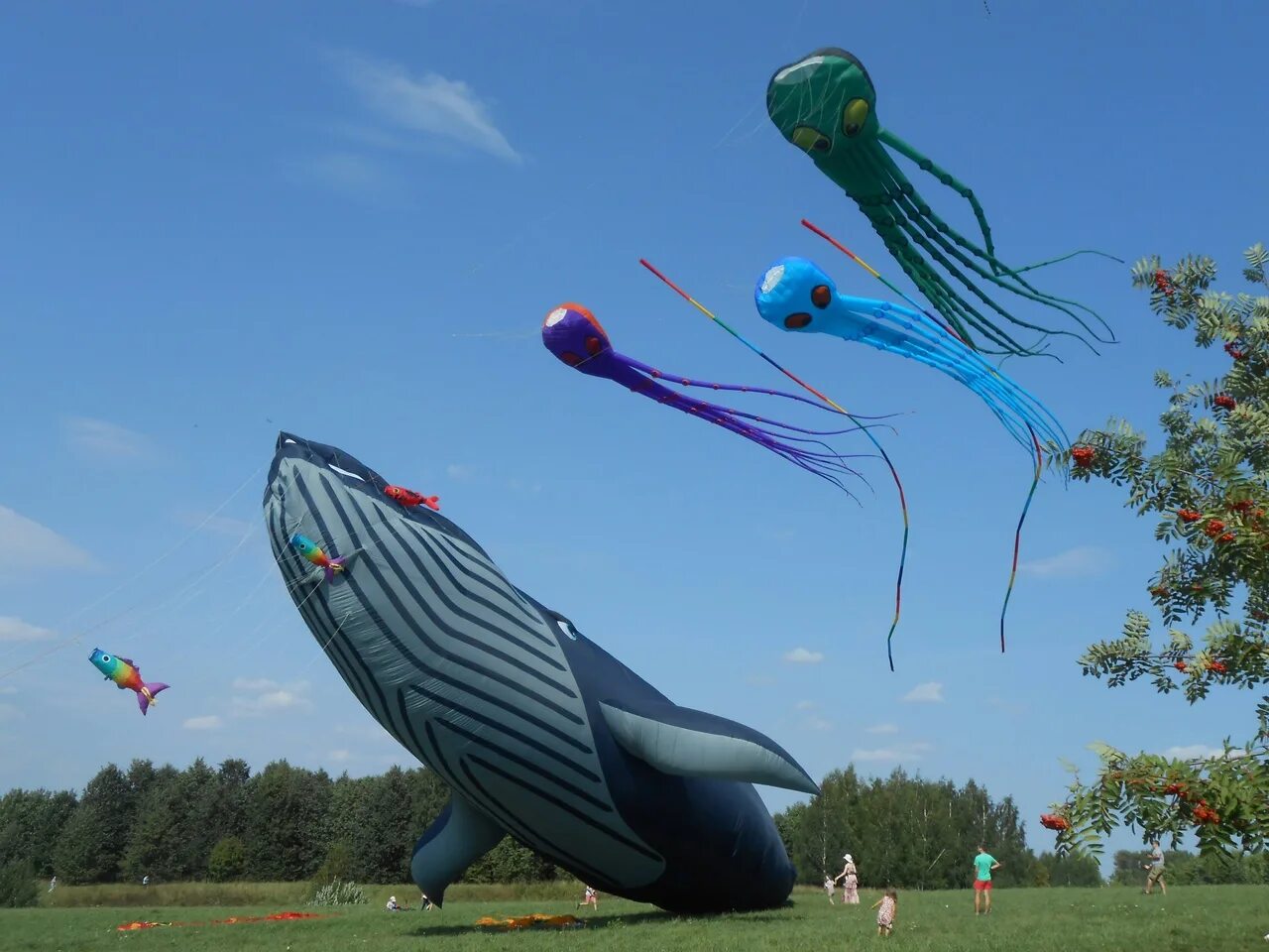 Пестрое небо. Фестиваль воздушных змеев в Царицыно 2022. Фестиваль воздушных змеев «пёстрое небо». Фестиваль воздушных змеев в Царицыно 2021. Царицыно воздушные змеи.