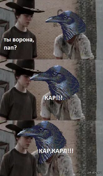 Мем про ворона. Мемы про ворон. ворона кар кар.