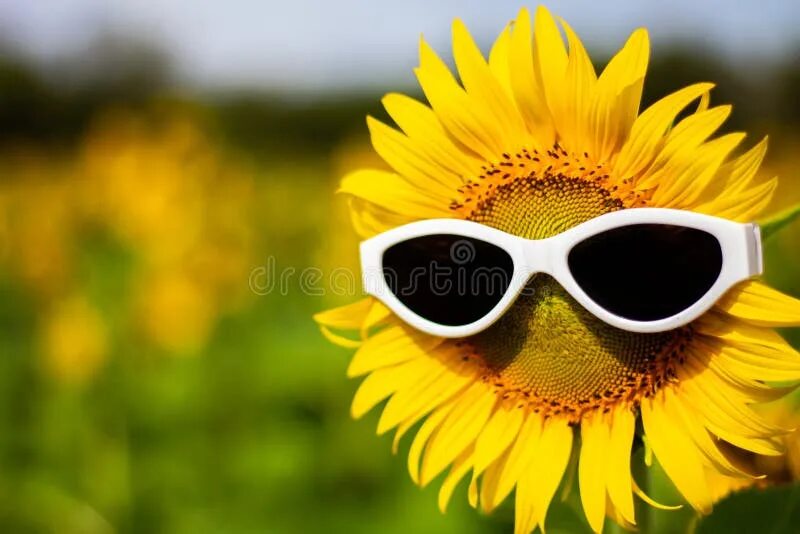 Happiness stock photo. Image of head, growth, funny, holiday - 28215992