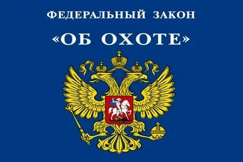 Фз об оружии 2024 год с изменениями