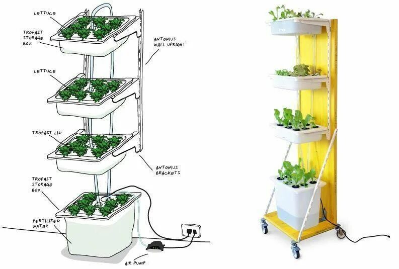 Гидропонные ящики купить. Гидропонная система вертикальная башня UG-t02. Аэропоника стеллажная ферма. Гидропонная система DWC чертежи. Гидропонный аппарат Terra Planter.