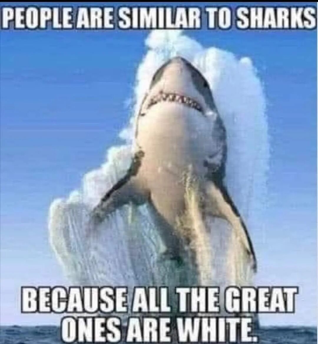 Similar triangles formula. Are similar. Group the words and word combinations under the following headings christmas halloween thanksgiving. Similarity. Are similar.