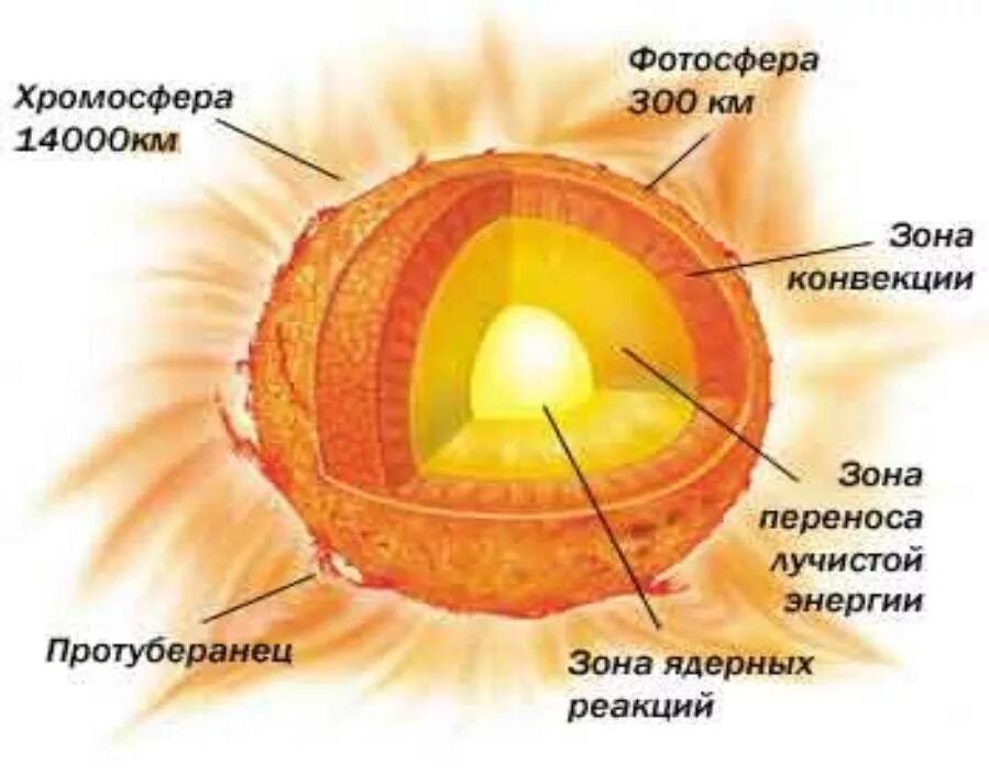 Строение звезды солнца. Строение солнца Фотосфера хромосфера корона. Внутреннее строение солнца схема. Внутреннее строение солнца и звезд. Строение солнца внутреннее и внешнее.