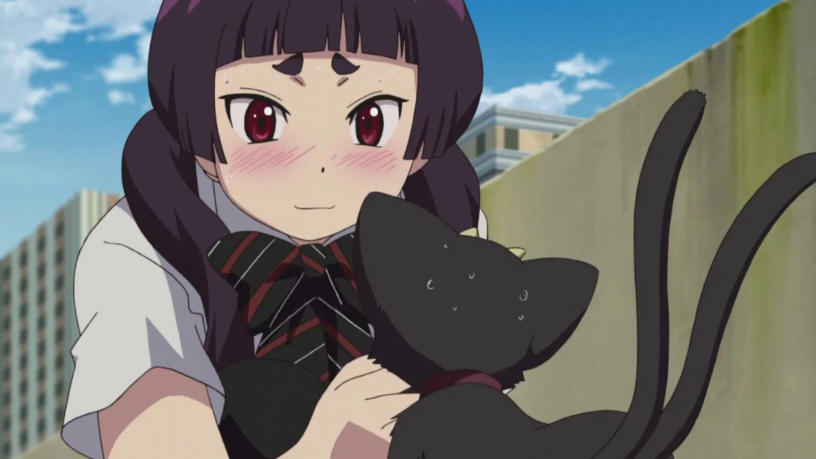 Синий экзорцист путешествие куро. Синий экзорцист кот куро и рин. Синий экзорцист фильм 2018. Blue exorcist: runaway kuro. Черныш синий экзорцист.