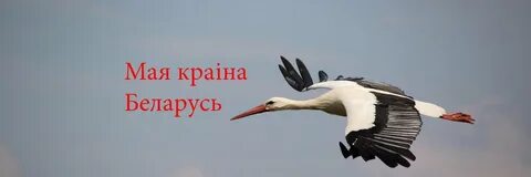 О беларусь мая